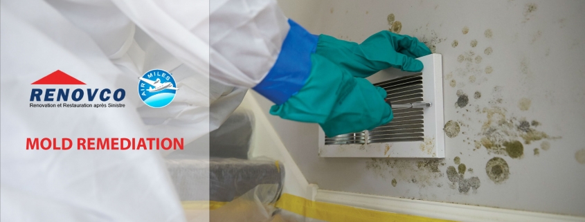 Mold Remediation