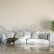 fire or water damage flood