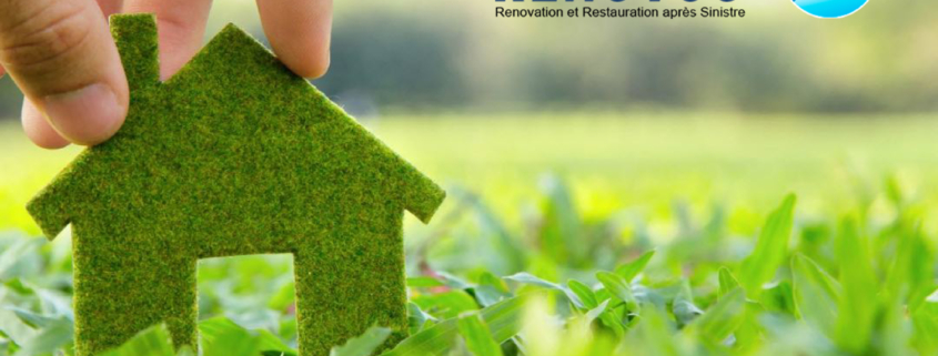 eco-friendly renovation tips