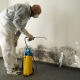 mold remediation ottawa