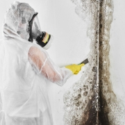 black mold removal